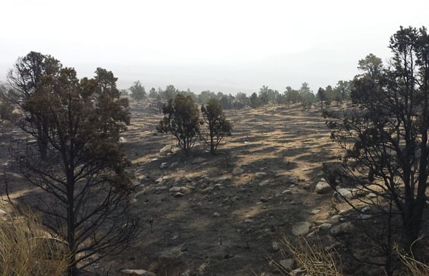 ndmc, digial property, delhi property, digital india, egov